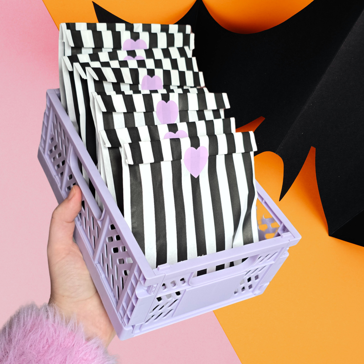 Mystery Bags